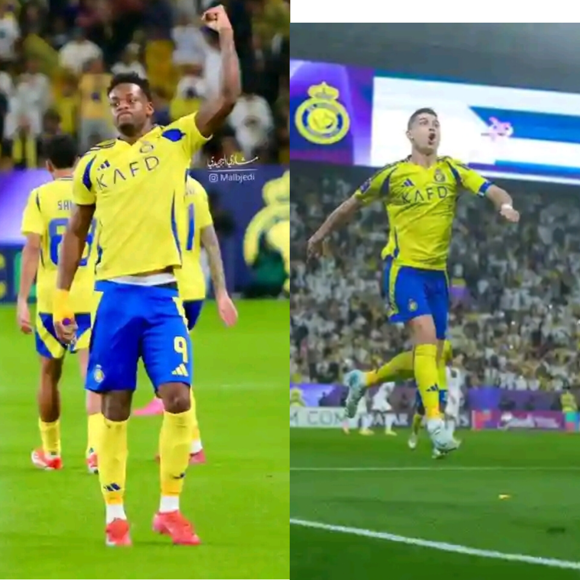 FECAites Images